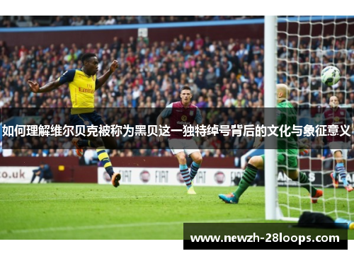 如何理解维尔贝克被称为黑贝这一独特绰号背后的文化与象征意义 如何理解维尔贝克被称为黑贝这一独特绰号背后的文化与象征意义