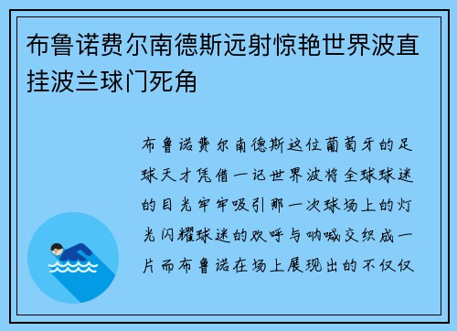 布鲁诺费尔南德斯远射惊艳世界波直挂波兰球门死角